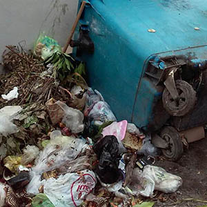 خمام - معضل رو به رشد زباله گردی / سرنگونی سطل‌های زباله و مخاطرات بهداشتی