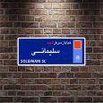 عضو شورا خواستار نامگذاری یک خیابان به‌نام سردار سلیمانی و جانمایی تمثال این‌شهید شد