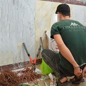 خمام - سارق ۳۰ ساله سیم برق در دام پلیس افتاد