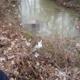 پیدا شدن جسد مرد میانسال خمامی در رودخانه