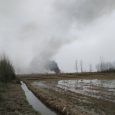 آتش‌سوزی در ۵ هکتار از اراضی شمالی جفرودبالا مهار شد