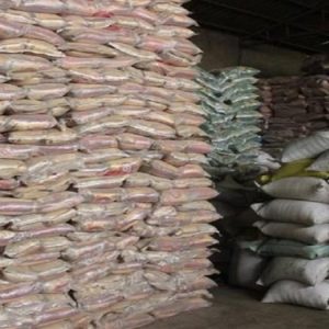 خمام - کشف ۲۵۵ تن برنج احتکار شده در یک روستا