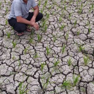 خمام - مشکل آبرسانی به مزارع کشاورزی تا ۴۸ ساعت آتی مرتفع می‌شود