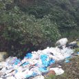 رهاسازی زباله در حاشیه یا حریم شهر؛ معضل تازه برای شهرداری