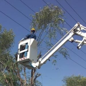 خمام - علت قطع برق برخی‌از مناطق درگیرشدن شاخه درختان با شبکه برق بوده است