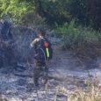 آتش‌سوزی جنگل ملی فتاتو خاموش شد