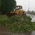 مسدود شدن جاده به‌دلیل ۹ مورد سقوط درخت، داربست و تابلوهای تبلیغاتی
