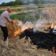 از آتش‌زدن کاه‌وکلش اجتناب کنید / با عاملان آلودگی محیط‌زیست بدون اغماض برخورد می‌شود