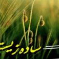تجمل‌پرستی؛ زرق و برق فریبنده | سادگی؛ شکوه فراموش‌شده
