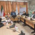 بیماری زمینه ای تب دنگی را تشدید می کند/مردم با دیدن پشه هراس نداشته باشند