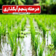 مرحله پنجم از آبگذاری کانال چپ سد سنگر از روز شنبه آغاز می‌شود