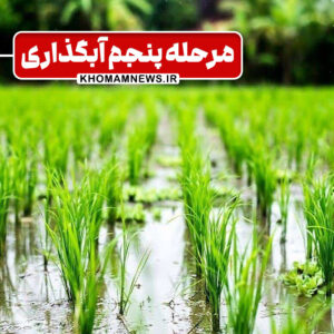 خمام - مرحله پنجم از آبگذاری کانال چپ سد سنگر از روز شنبه آغاز میشود